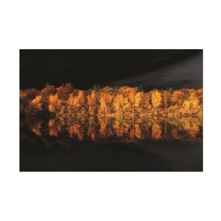 Trademark Fine Art Philippe Sainte Laudy 'Black Sky in Autumn' Canvas Art, 30x47 PSL01296-C3047GG